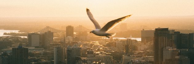 Un parcours touristique pour découvrir l’imaginaire à Montréal